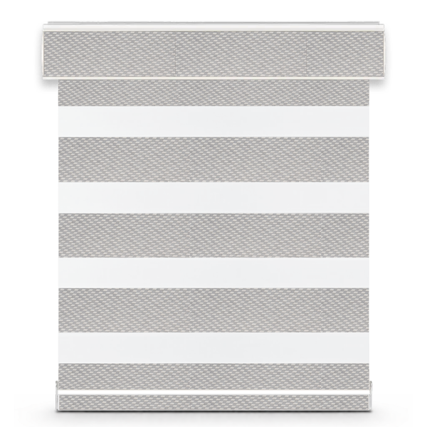 Celine G32 zebra shade