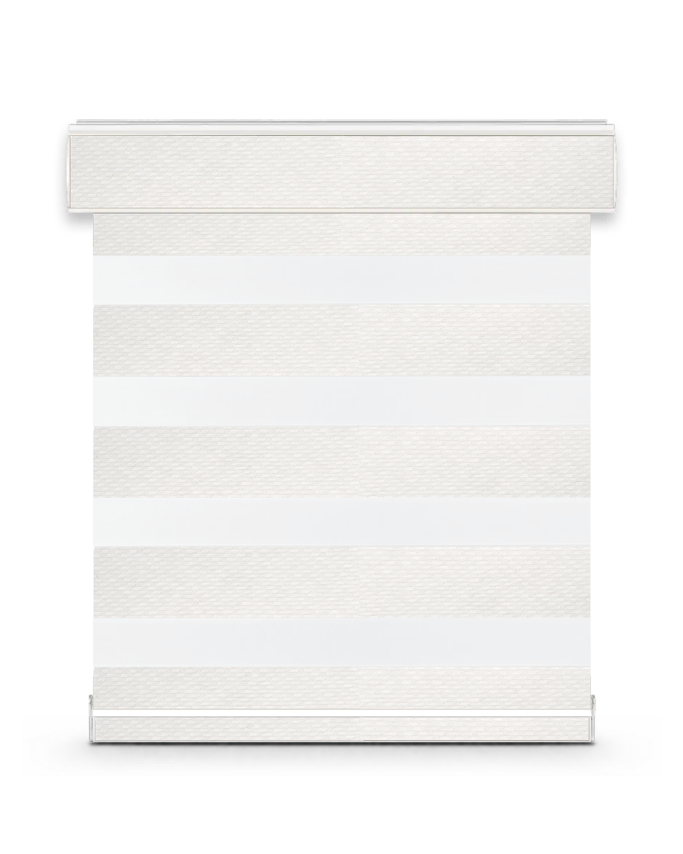 Celine G32 zebra shade