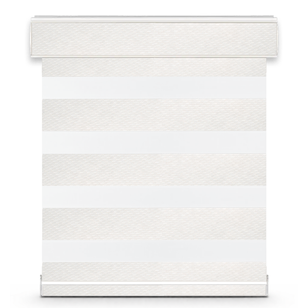 Celine G32 zebra shade