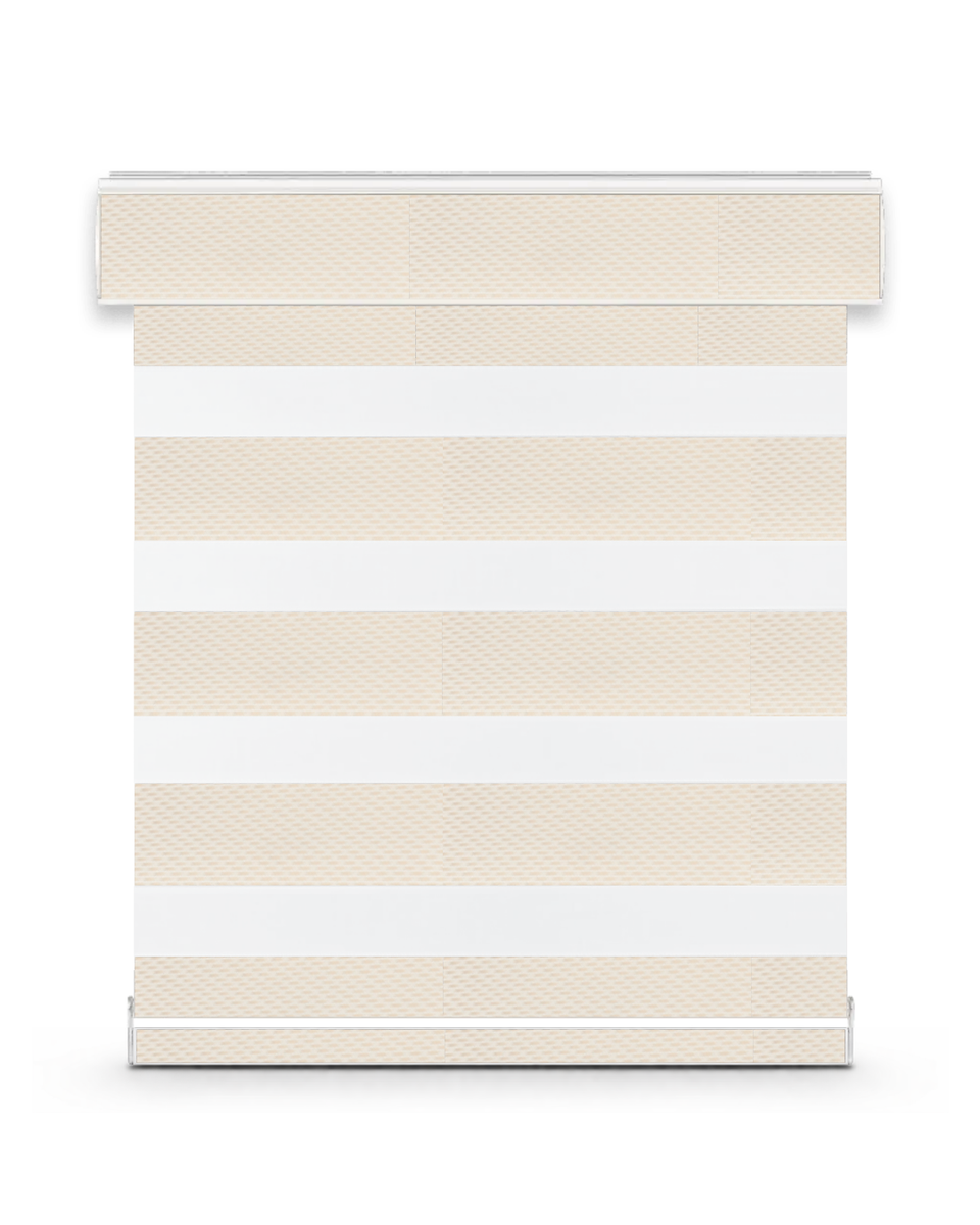 Celine G32 zebra shade