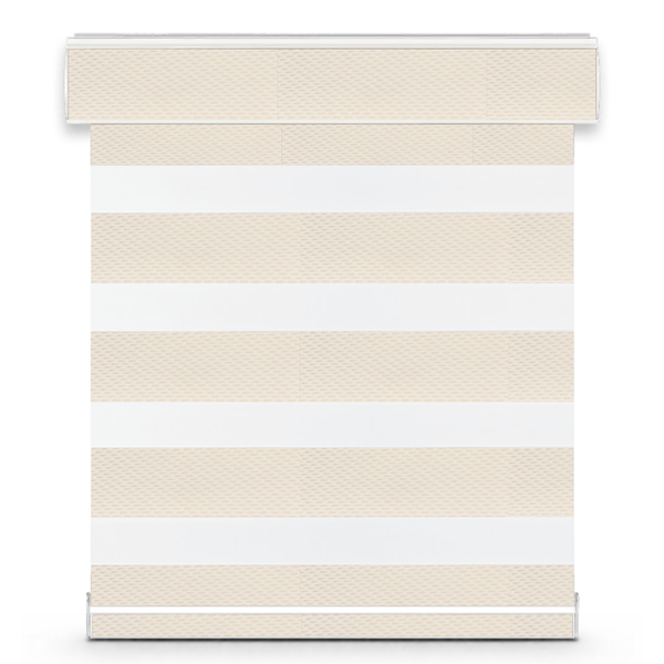 Celine G32 zebra shade