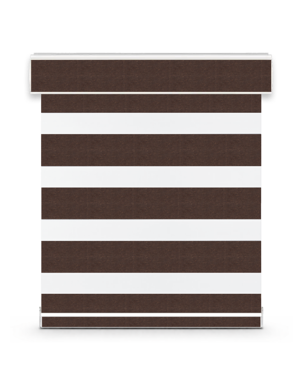 Aura zebra shade