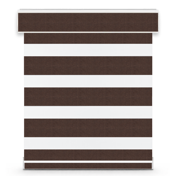 Aura zebra shade