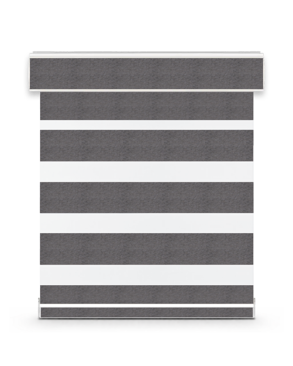 Aura zebra shade