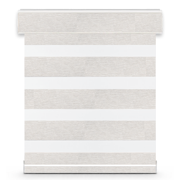 Celine G31 zebra shade