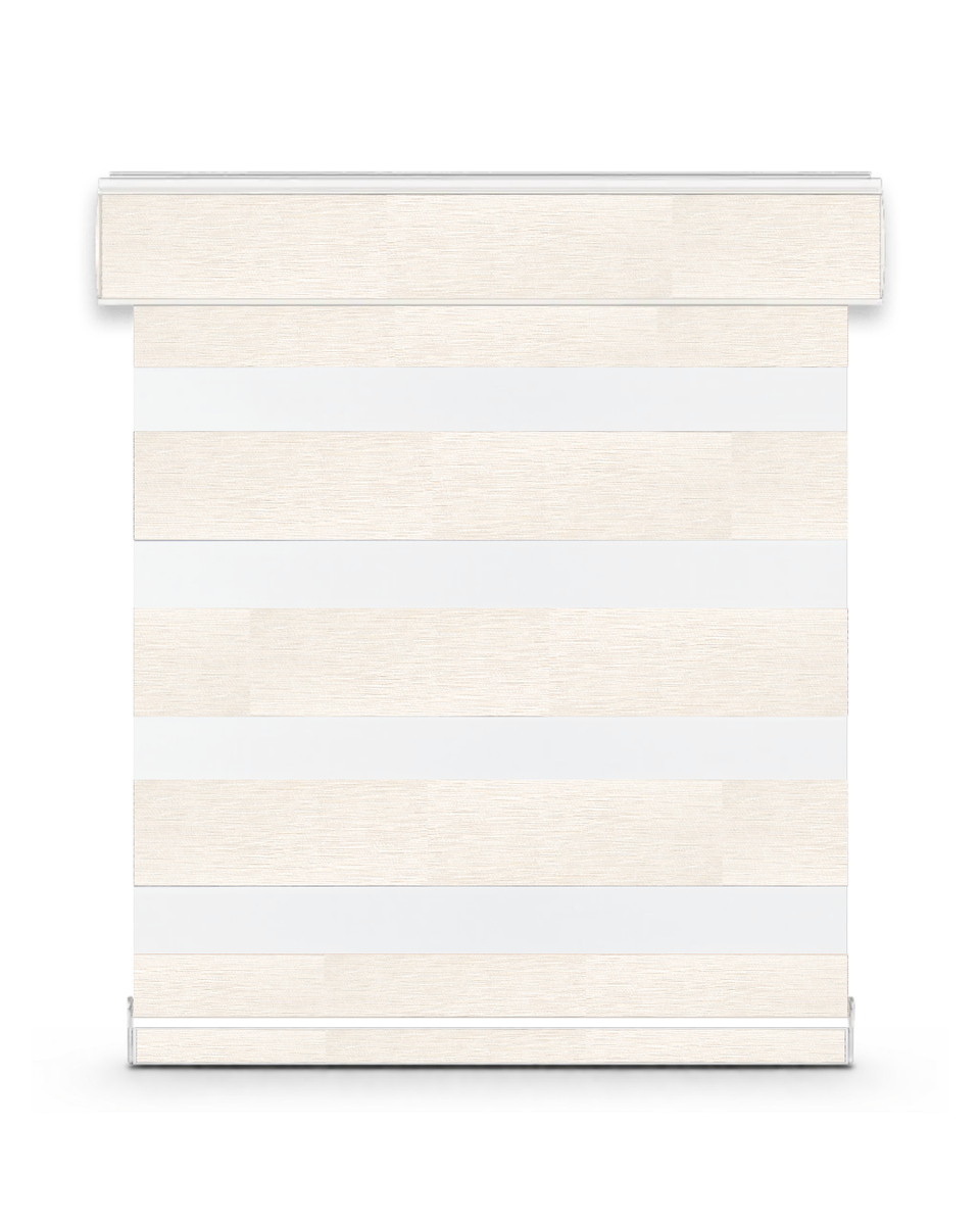Celine G31 zebra shade