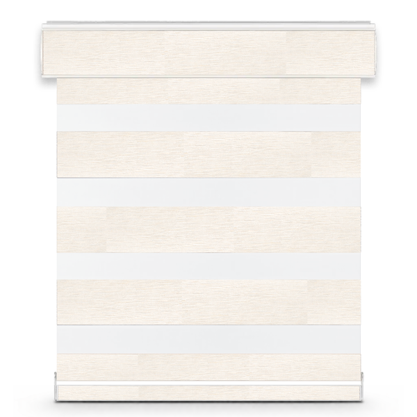 Celine G31 zebra shade