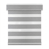 Eclipse Room-Darkening Zebra Shade DL22033 silver - DS-RD-DL22033-0001