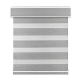 Celine Zebra Shade G32 steel - DS-TR-G32-003