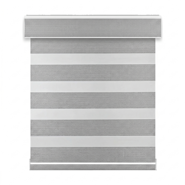 Celine Zebra Shade G32 steel - DS-TR-G32-003