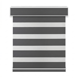 Celine Zebra Shade G32 carbon - DS-TR-G32-004