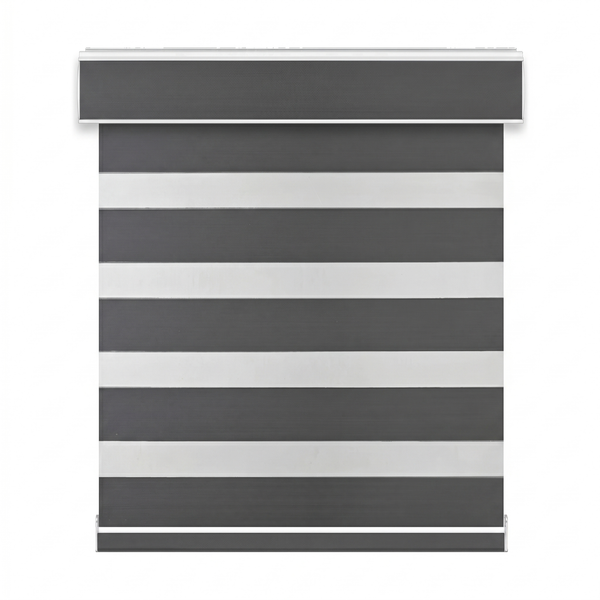 Celine Zebra Shade G32 carbon - DS-TR-G32-004